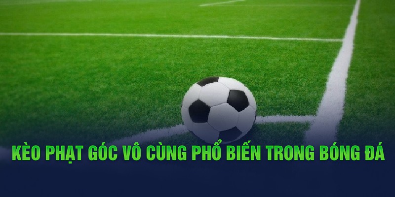 Một số thông tin cần biết về kèo phạt góc Conners hấp dẫn