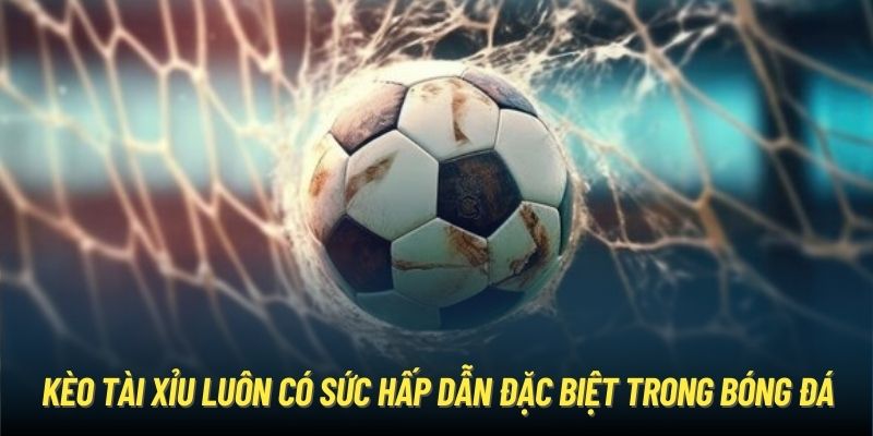 Lý do bet thủ nên chọn tham gia kèo tài xỉu 2.75 là gì?