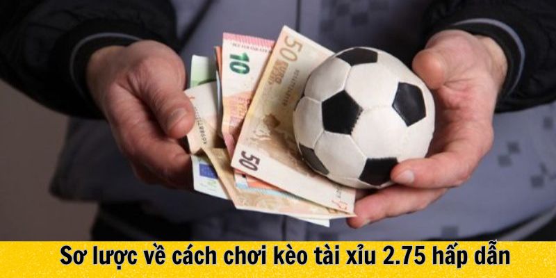 Một số thông tin cần biết về khái niệm kèo tài xỉu 2.75 là gì?